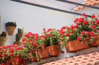 /album/fotogaleria-inicio/a7222353488-30dd8683b2-h-jpg/