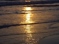 /album/fotogaleria-inicio/a7221839032-ba5db75993-h-jpg/