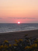 /album/fotogaleria-inicio/a7221833100-3e2391880c-h-jpg/